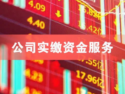 南雄公司实缴资金服务